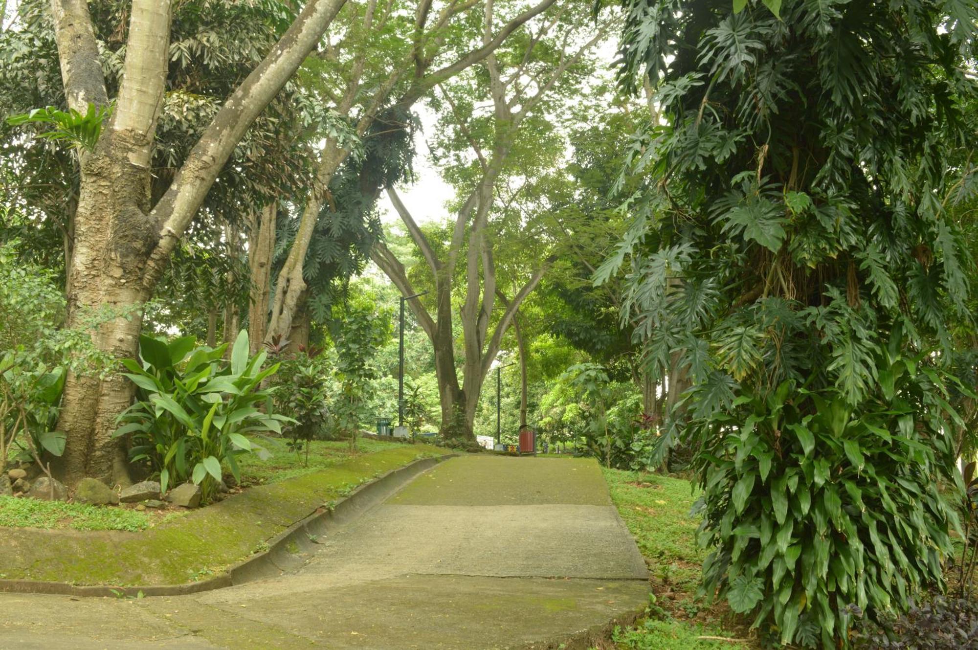 Totumas Lodge Panama City Exterior photo